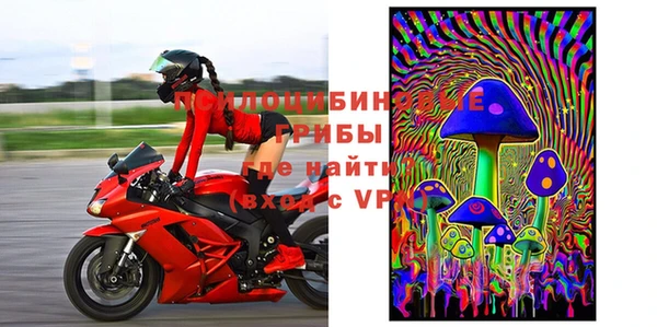 дживик Абаза