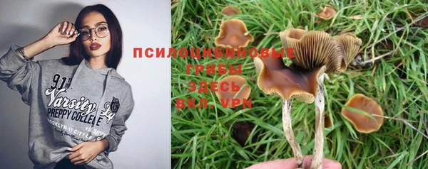 дживик Абаза