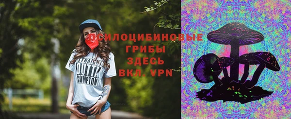 дживик Абаза
