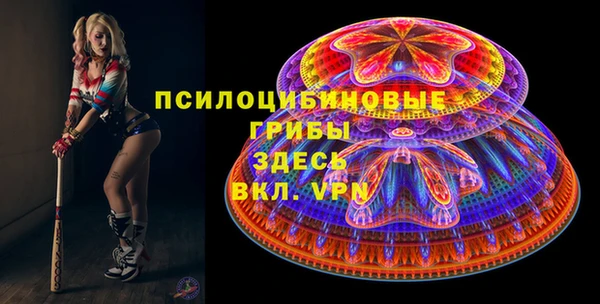 ПСИЛОЦИБИНОВЫЕ ГРИБЫ Абдулино