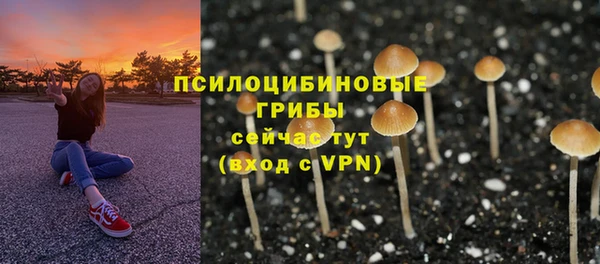 гидропоника Абинск