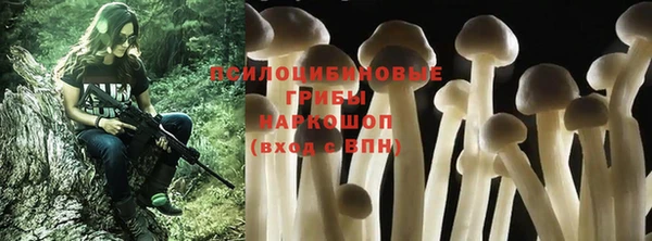 дживик Абаза