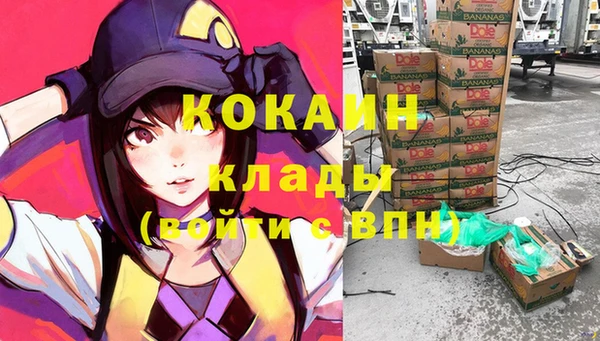 дживик Абаза