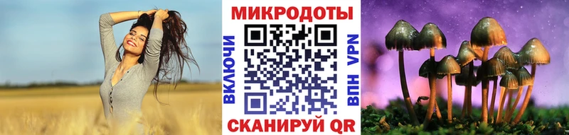 Галлюциногенные грибы Psilocybe  Якутск 