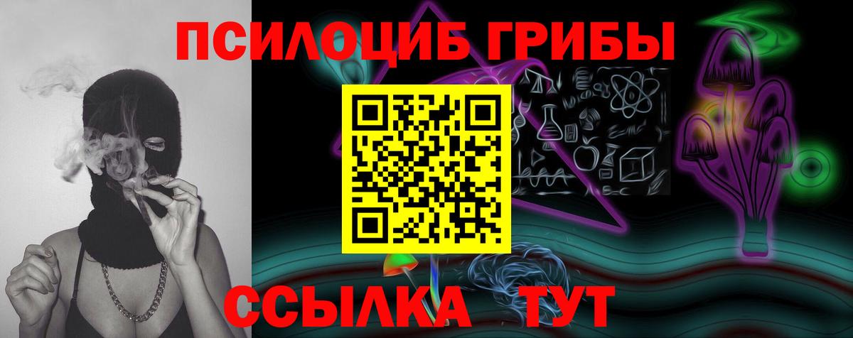 Псилоцибиновые грибы Cubensis  Псилоцибиновые грибы GOLDEN TEACHER  Якутск  Вход с VPN 